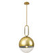 Prospect 1 Light 11.75 inch Gold Pendant Ceiling Light, Large
