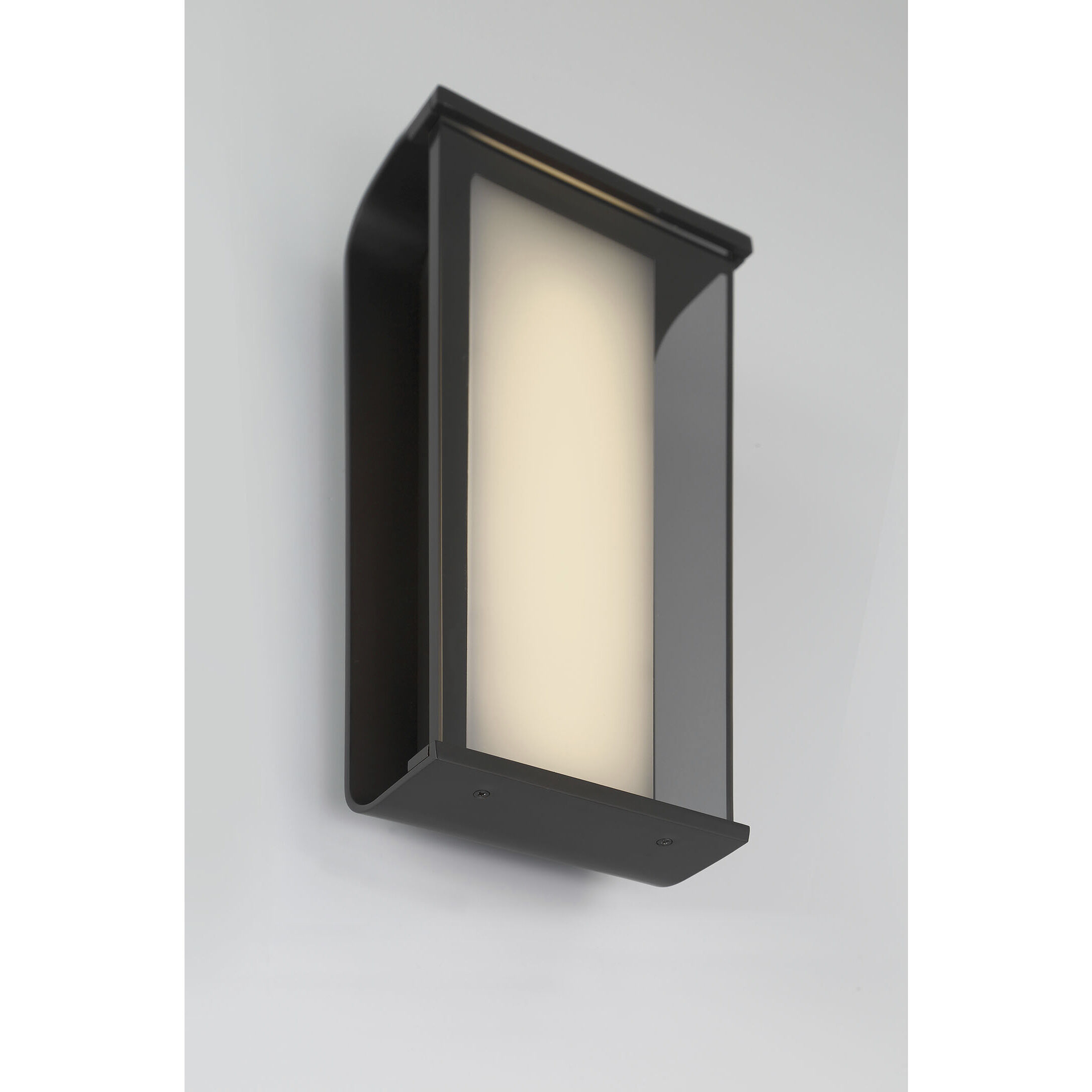 Dulton LED 14 inch Matte Black Outdoor Wall Sconce