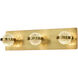 Ryder LED 20 inch Gold Vanity Light Wall Light