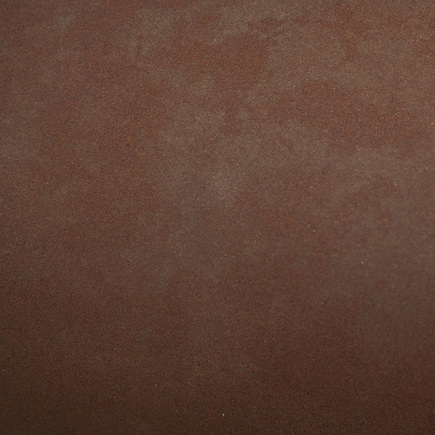 Radiance Collection 1 Light 8 inch Real Rust with Brushed Nickel Pendant Ceiling Light