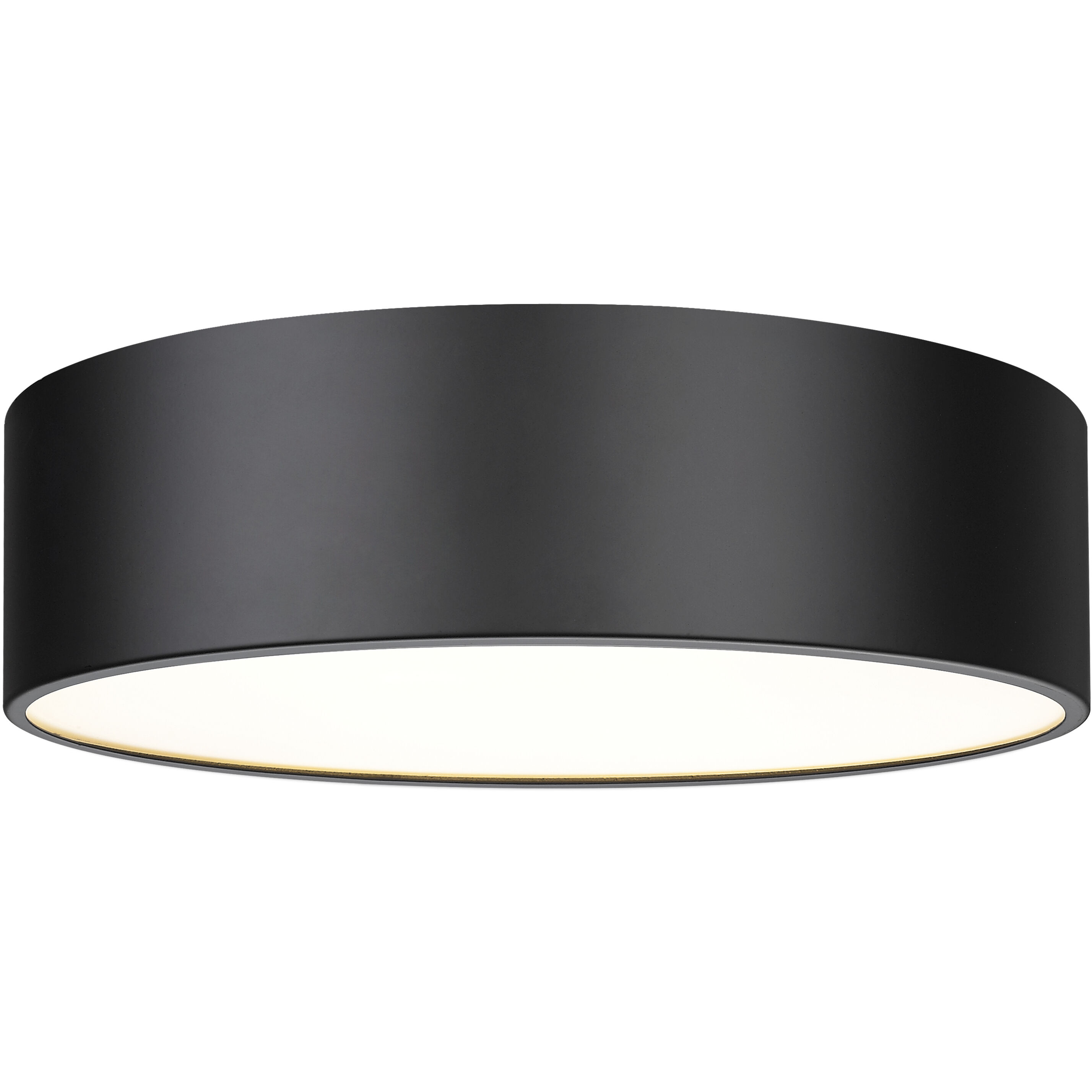 Harley 4 Light 20.00 inch Flush Mount