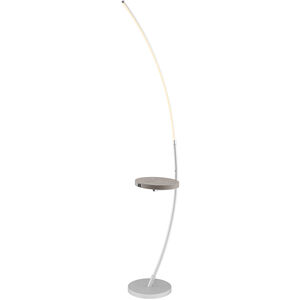 Monita 68 inch 25.00 watt Silver Floor Lamp Portable Light