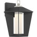 Andson LED 12.75 inch Satin Nickel-Sand Black Mix Outdoor Wall Sconce
