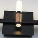 Albany LED 20 inch Brass and Black Vanity Light Wall Light