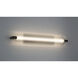 Neoness LED 34.25 inch Matte Black Outdoor Wall Sconce in Clear