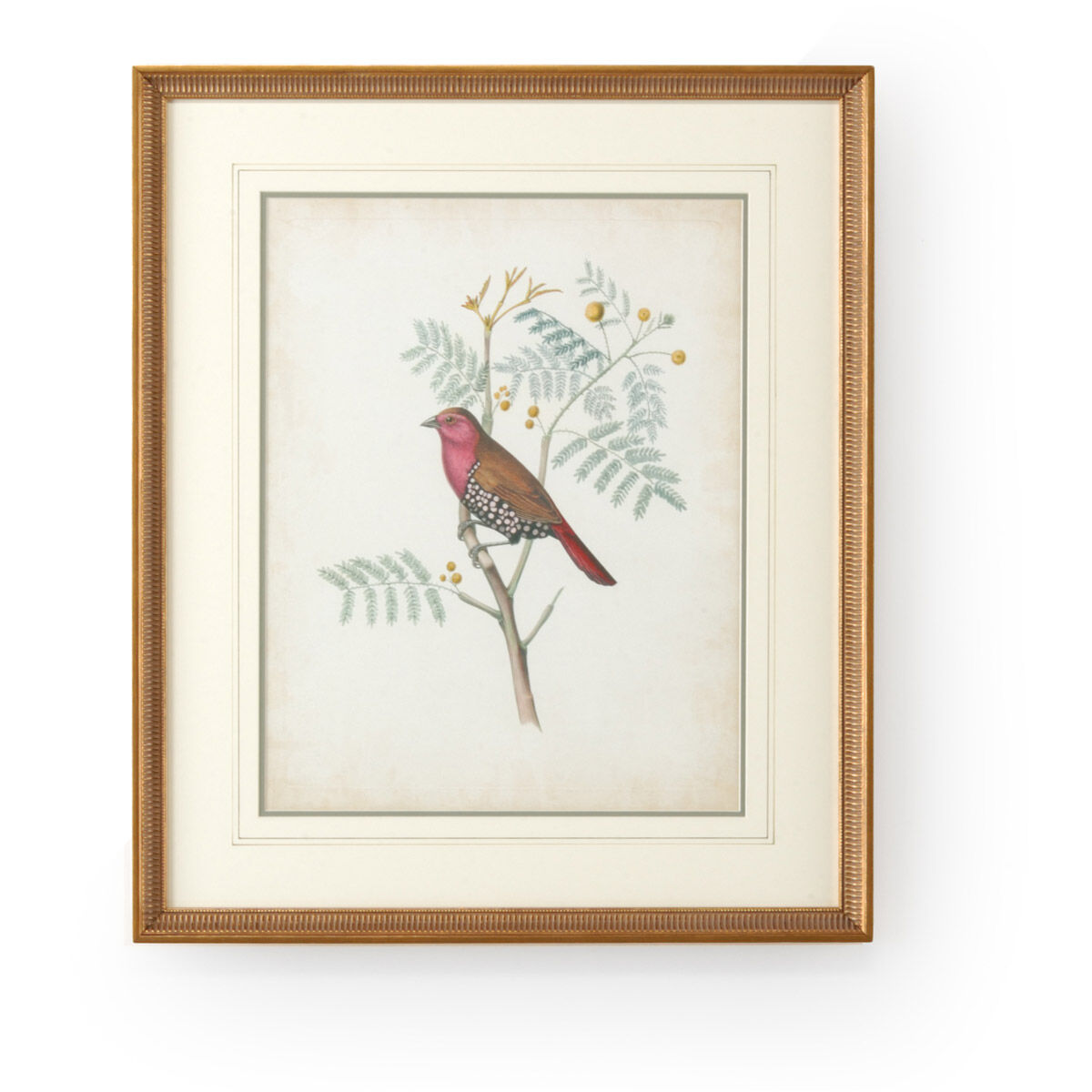 Chelsea House 26 X 22 inch Print