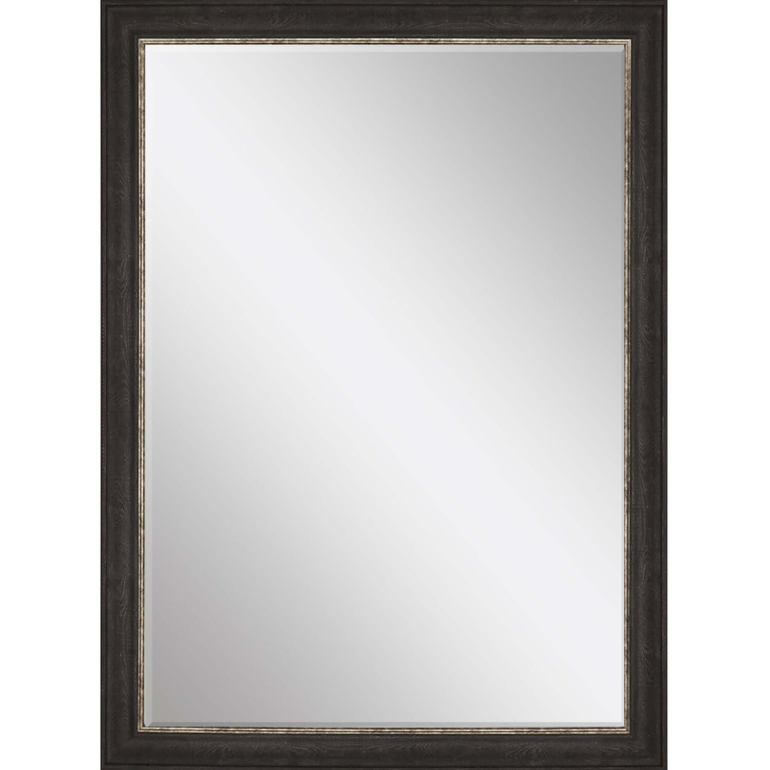 843 Mirror Group 41 X 29 inch Brown and Metallic Wall Mirror