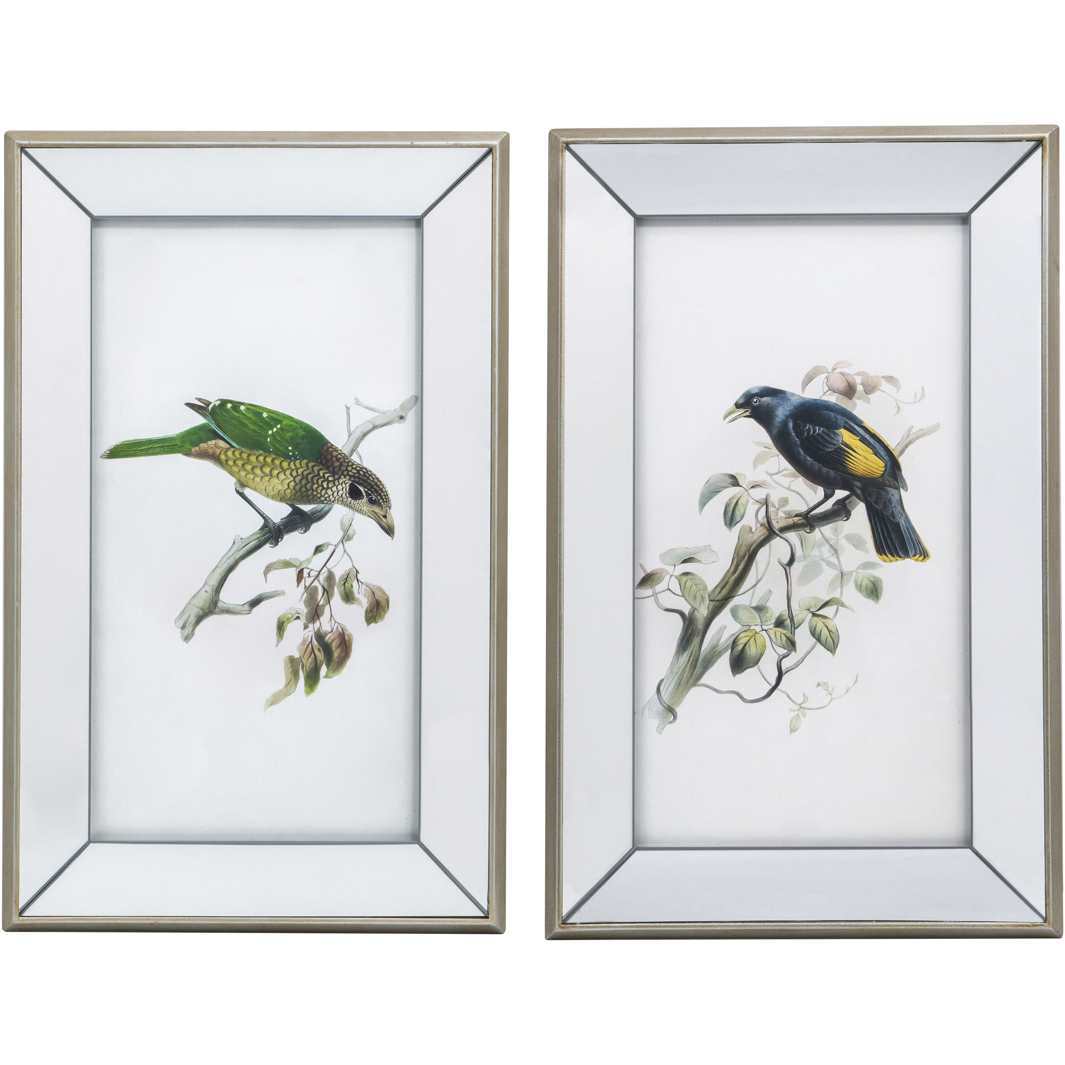Bird Mirror Frame Print Multi Color Wall Art, Set of 2