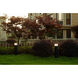 Beacon 9 watt Black Outdoor Bollard