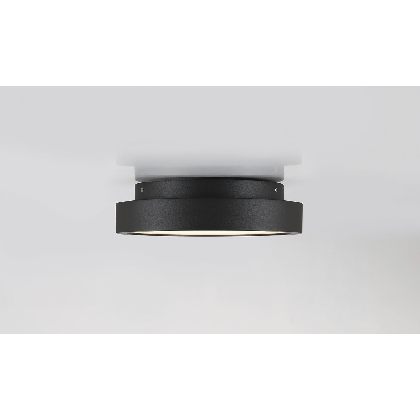 Patrol LED 9.84 inch Black Outdoor Ceiling Mount