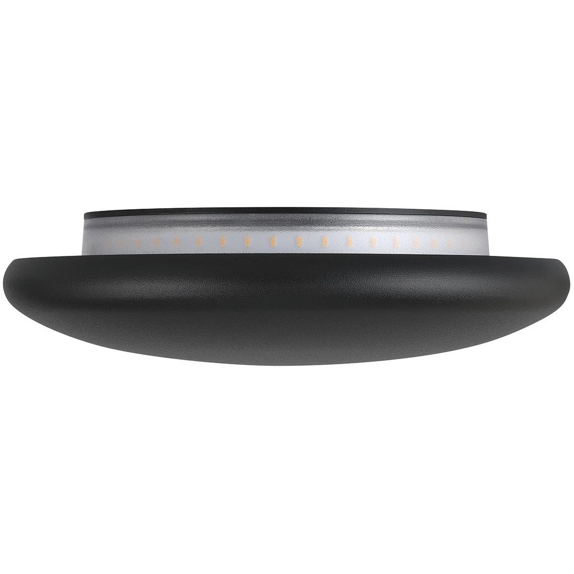 State LED 1.54 inch Black Outdoor Wall Mount